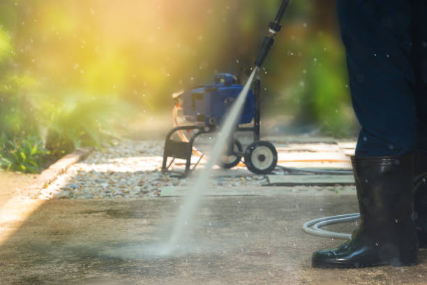 Best Sidewalk and Walkway Cleaning  in Tomah, WI